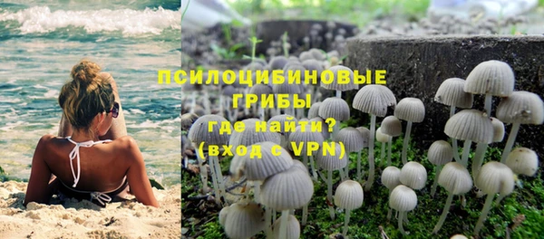 герыч Алзамай