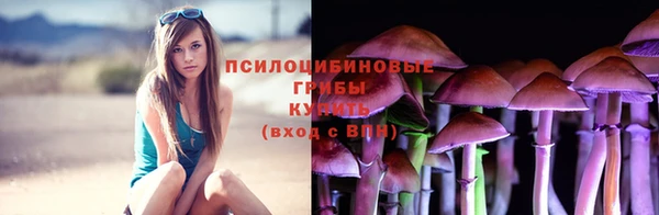 винт Алексин